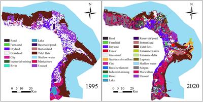 Effects of habitat loss on migratory shorebird community structure at stopover sites: A case study in the Yellow River Delta, China